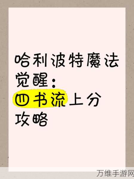 哈利波特魔法觉醒，决斗场制胜秘籍，资源管理与价值最大化深度剖析