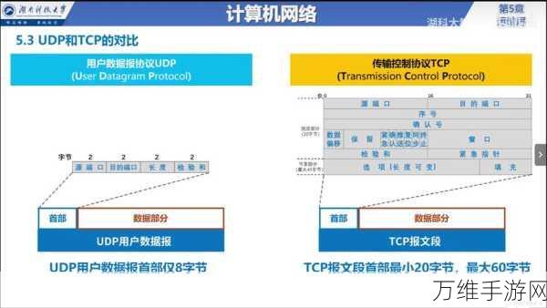 手游网络基石，Socket与UDP协议大比拼，揭秘数据传输的秘密