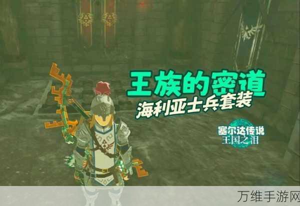塞尔达传说王国之泪，揭秘海利亚士兵护胫的高效获取攻略