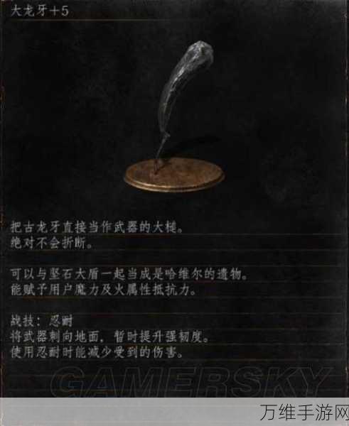 黑暗之魂3顶尖武器推荐,变质强化与获取攻略大揭秘