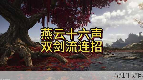 燕云十六声,太极绝技释放攻略大揭秘