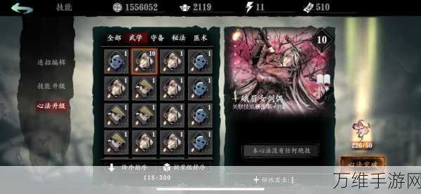 影之刃2速通秘籍,揭秘里武林高效卡关与速刷技巧