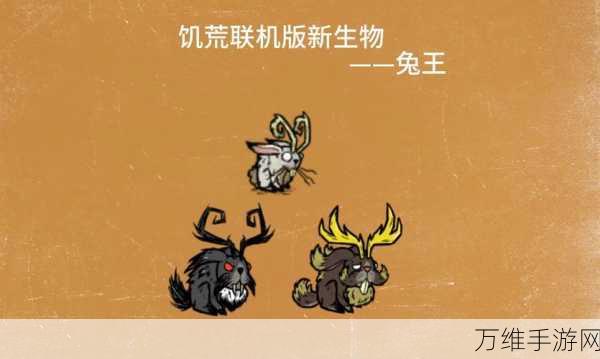 饥荒海难版,兔子掉落物品全揭秘,探险生存必备指南