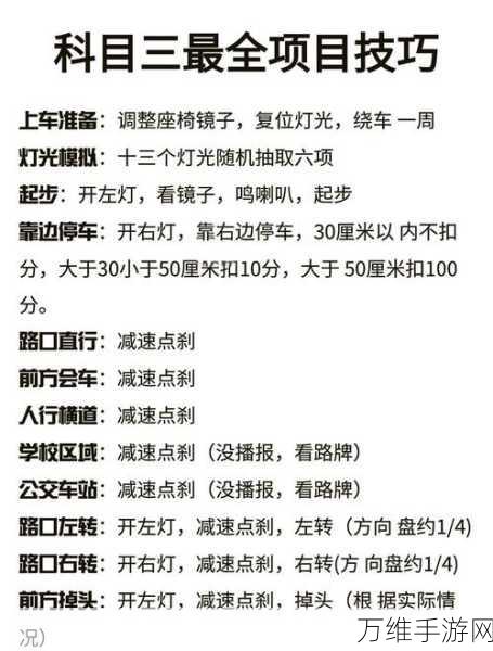 仙界幻世录，新手速通秘籍与深度玩法全解析，解锁隐藏赛事福利