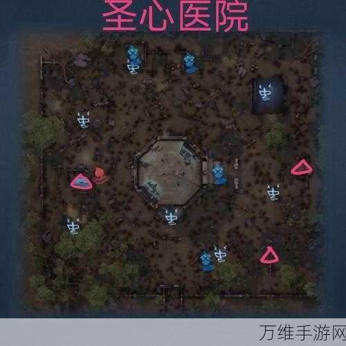 第五人格，揭秘地窖的逃生奥秘与实战技巧