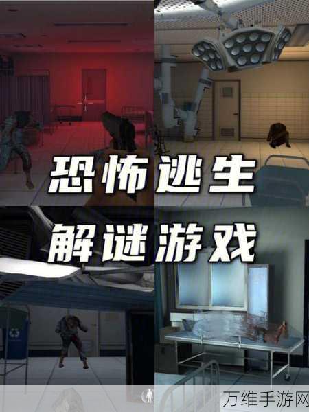 恐怖护士,心跳解谜之旅 内置菜单版等你来战