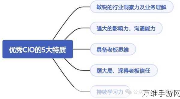 CIO与CEO手游企业合作秘籍，解锁成功协作的五大要素