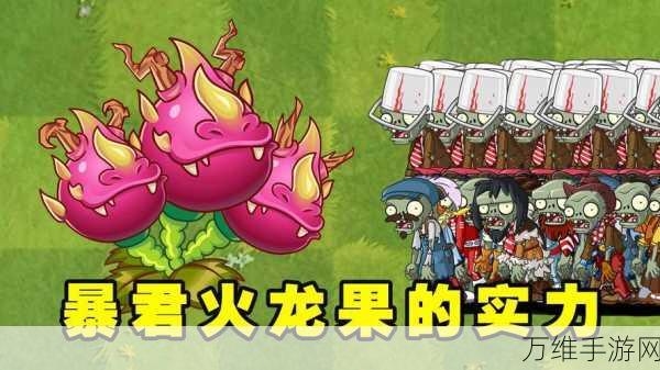 火龙果大显神威!植物大战僵尸2火龙果属性及实战技能深度剖析