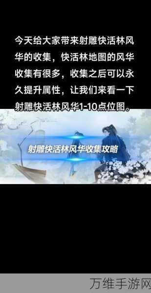 射雕手游深度攻略,如何让你的侠侍如影随形,并肩作战?