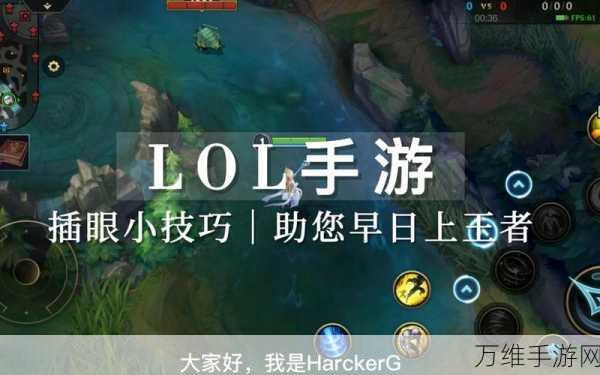 LOL手游降延迟秘籍,专业技巧助你赛场制胜