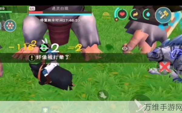 探秘创造与魔法,巨猿出没的神秘之地全解析