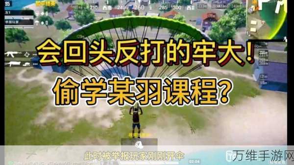 和平精英独行侠直装遭猎鹰系统严查,违规操作是否会收到提示?