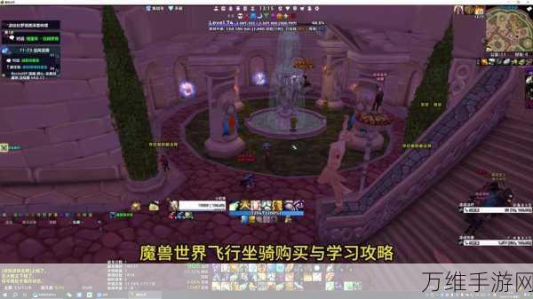 魔兽世界WLK前夕,解锁飞行骑术全攻略,速通指南来袭!
