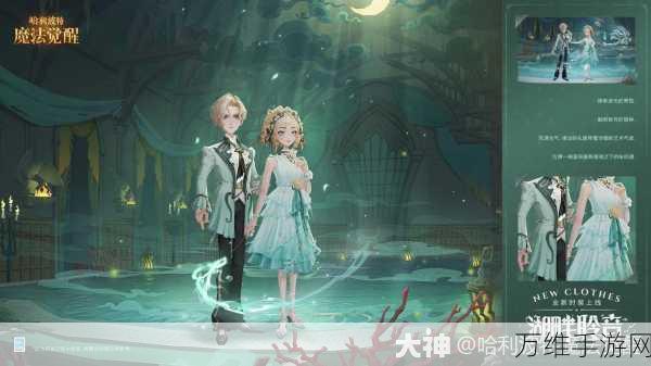 哈利波特,魔法觉醒深度揭秘——探索非本院礼堂的奇幻之旅