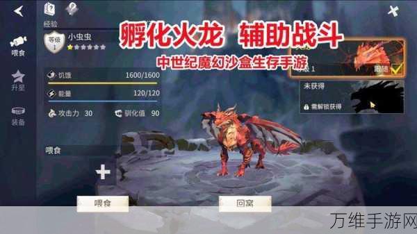 揭秘冰原守卫者,光明龙蛋的珍稀获取之道