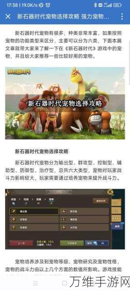石器时代2手游深度攻略,揭秘宠物祝福系统,打造资源管理大师