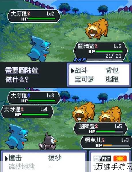 口袋妖怪,从经典回忆到全球电竞巅峰的传奇之旅