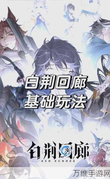 白荆回廊深度解析,元素反应效果全揭秘,策略战斗新境界