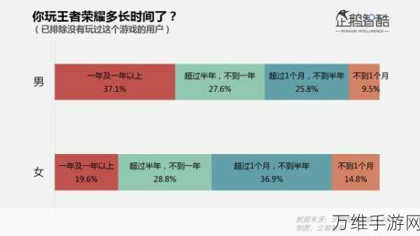 王者荣耀深度解析,天下粮仓标签的奥秘与实战应用