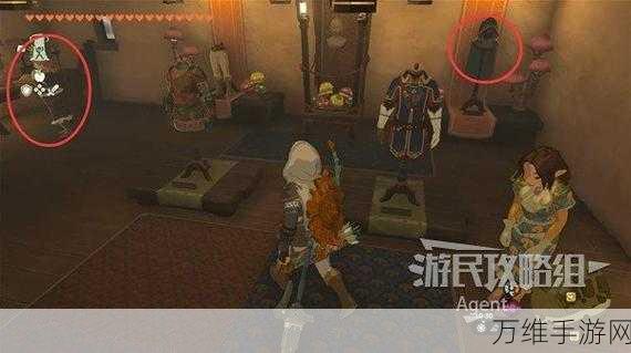 塞尔达传说王国之泪,揭秘海利亚士兵套装的高效获取攻略