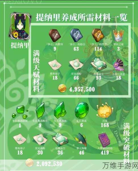 原神高手攻略,提纳里圣遗物完美搭配指南