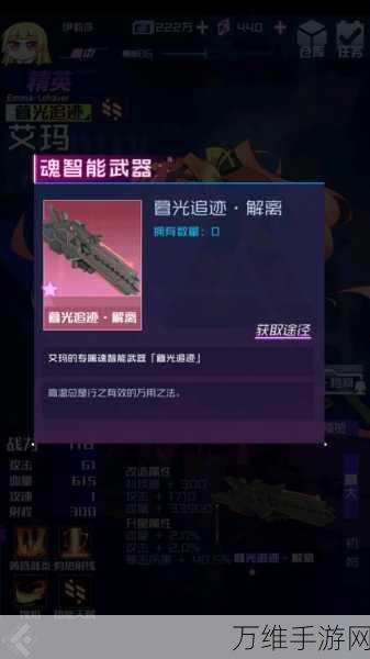 暗黑黎明深度解析,医者艾玛八级进阶装备全攻略