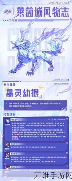 星球重启狼来了!全面揭秘稀有宠物狼获取攻略