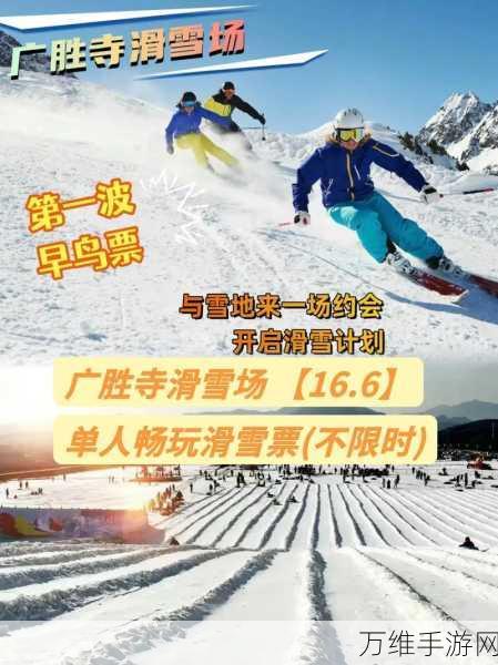 畅玩滑雪场闲置大亨,开启休闲模拟新征程