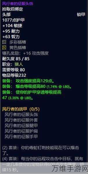 魔兽世界猎人顶级装备揭秘,打造狩猎大师的终极武装