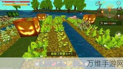 迷你世界家园建设攻略，轻松获取胡萝卜秘籍大公开