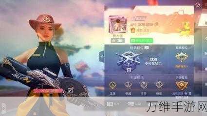 和平精英乌木金纹枪械皮肤独家获取攻略,解锁战场新风尚!