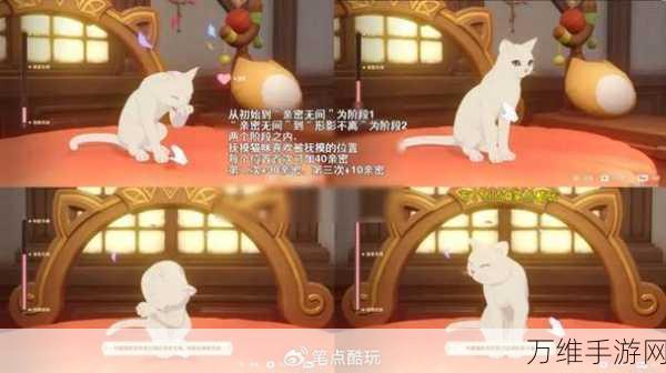 原神茸茸城堡大喵险境第五天，高效通关攻略揭秘