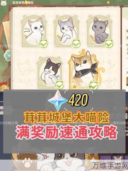 原神茸茸城堡大喵险境第五天，高效通关攻略揭秘