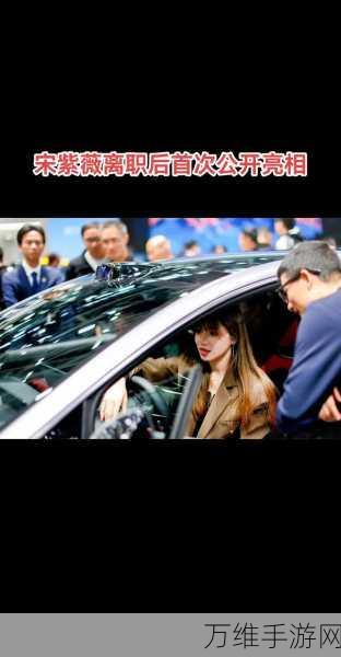 宋紫薇离职后新征途,跨界AI领域,手游界期待其创新火花