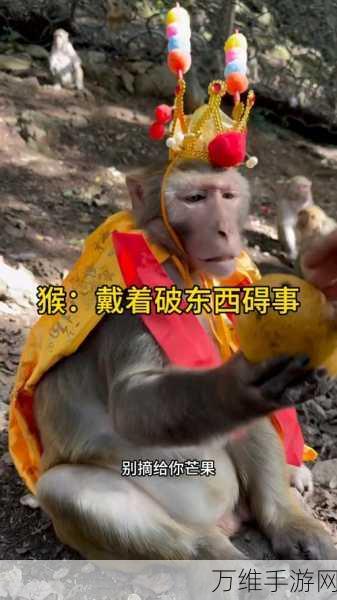 猴猴矿工,魔性休闲闯关,手机版全新来袭
