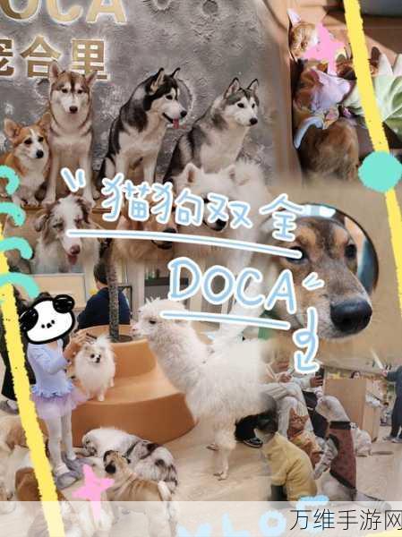 猫猫狗狗冰淇淋,休闲收集装饰的奇妙之旅