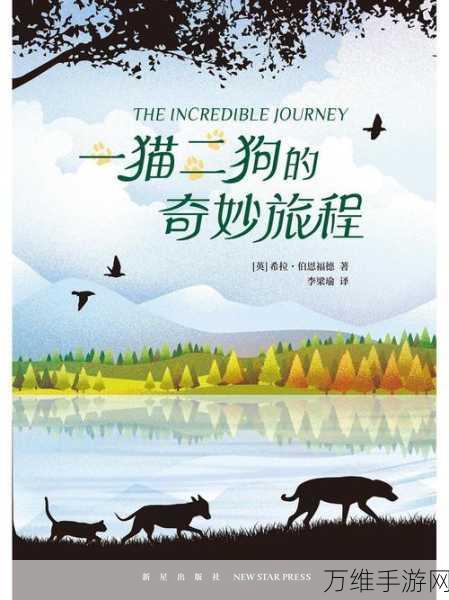 猫猫狗狗冰淇淋,休闲收集装饰的奇妙之旅