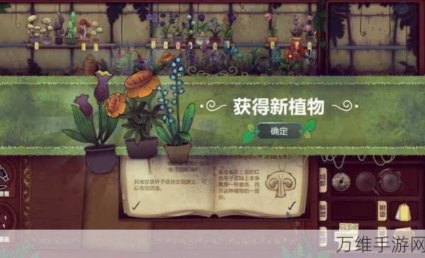探秘创造与魔法新版本,绿色花朵寻觅指南及新版本亮点揭秘