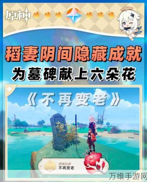 原神探索必备,揭秘通往某处的钥匙的神奇用途