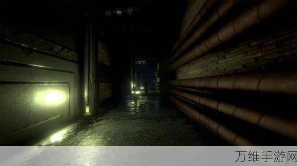 Backrooms Anomaly,全新恐怖解谜冒险之旅等你来战