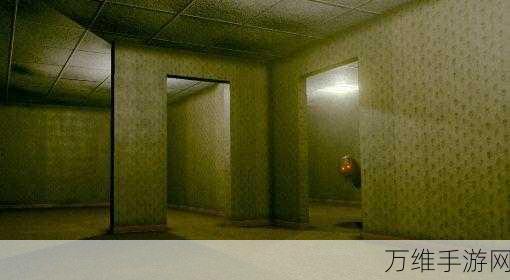 Backrooms Anomaly,全新恐怖解谜冒险之旅等你来战