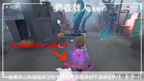 第五人格深度攻略,掌握掩护救人技巧,化身团队不可或缺的守护神