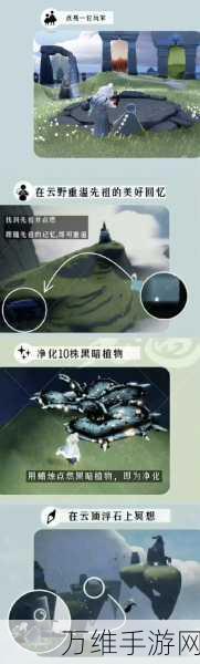 光遇墓土皮皮虾躲避攻略，掌握技巧，轻松穿越危险地带