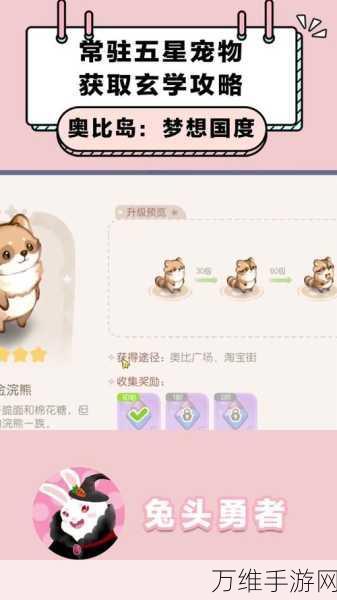 奥比岛梦想国度,解锁宠物家园的全面攻略