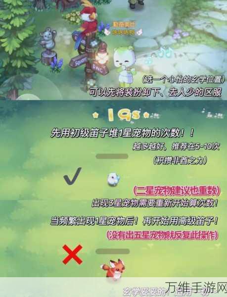 奥比岛梦想国度,解锁宠物家园的全面攻略