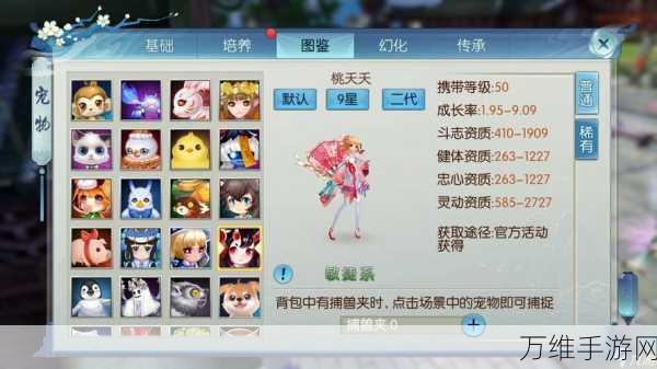 诛仙手游宠物飞升全攻略,揭秘宠物光速成长秘籍