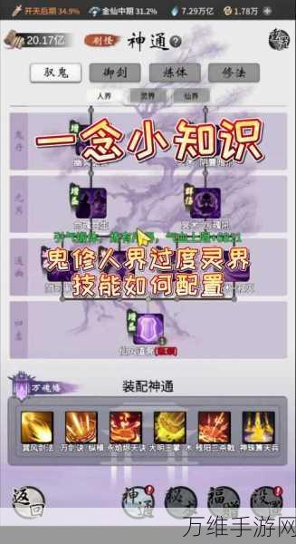 一念逍遥领域点化全攻略,解锁秘籍与实战技巧大揭秘