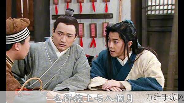 武林外传速通秘籍,白驼山高效阵容搭配与实战技巧深度剖析