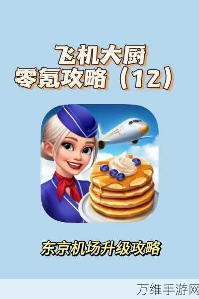 飞机大厨国际版,烹饪乐趣无限的休闲模拟佳作