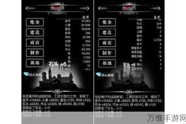 地下城堡探险致富经,揭秘金币速刷秘籍与高效攻略